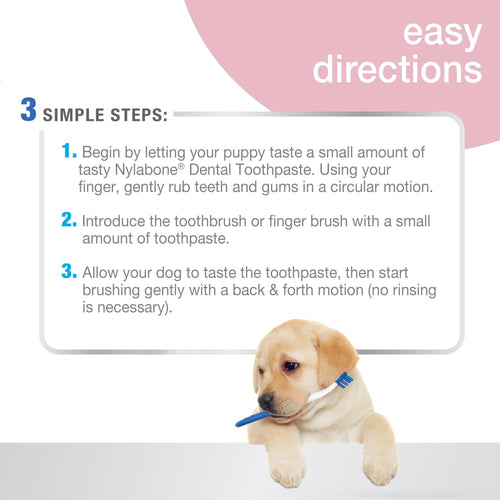 Nylabone Advanced Oral Care Puppy Dental Kit