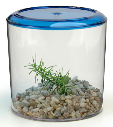 Lee's Aquarium & Pet Products Betta Keeper, Round