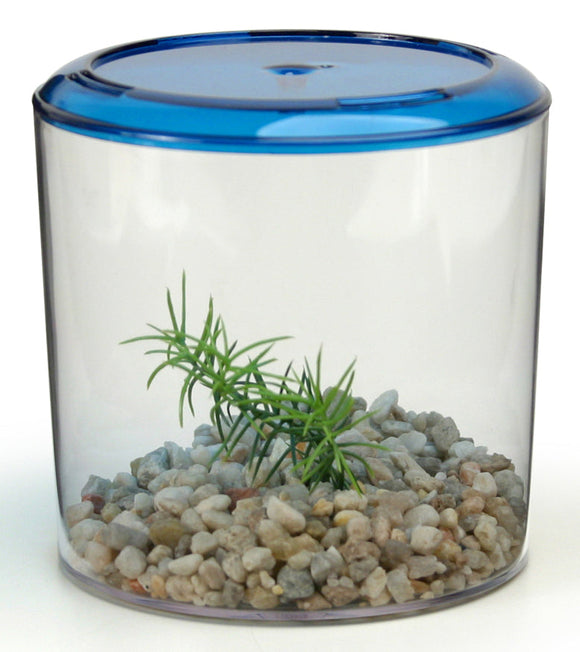 Lee's Aquarium & Pet Products Betta Keeper, Round