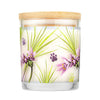 Pet House Lemongrass Candle