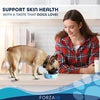 Forza10 Nutraceutic Active Dermo Dry Dog Food