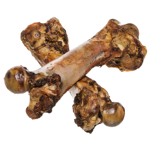 Redbarn X-Large Ham Bone Dog Treat (10-oz)
