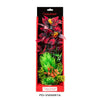 Aquatop Vibrant Wild Plant Mixed Red