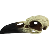 Komodo Raven Skull Hideout (Large)