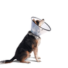 Dogswell® Remedy & Recovery® Rigid E-Collar (Small, Clear)