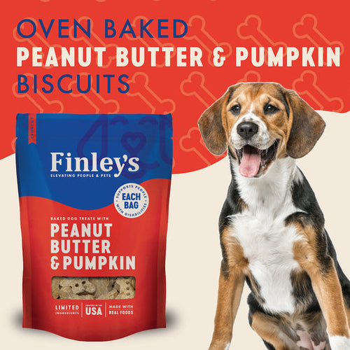 Finley's Peanut Butter Pumpkin Crunchy Biscuits Dog Treats