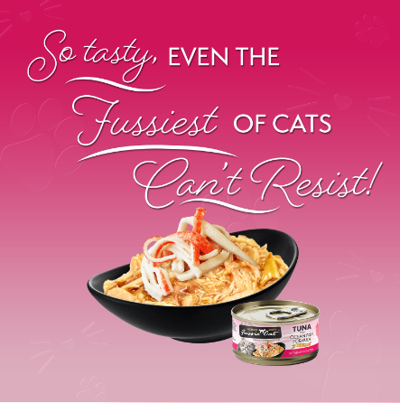 Fussie Cat Tuna with Ocean Fish Formula in Gravy Cat Food