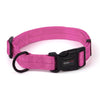 Dogline Nylon Flat Collar