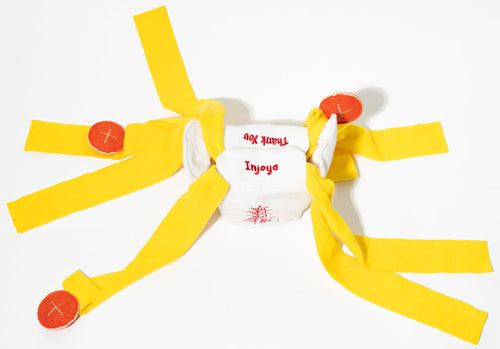 Injoya Take Out Snuffle Toy for Dogs