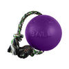 Jolly Pets Romp-N-Roll Toy