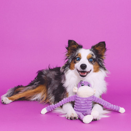 ZippyPaws Spencer the Crinkle Monkey (Small Purple)