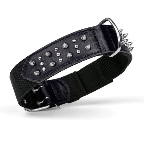 Dogline Leather + Nylon Spike Collar