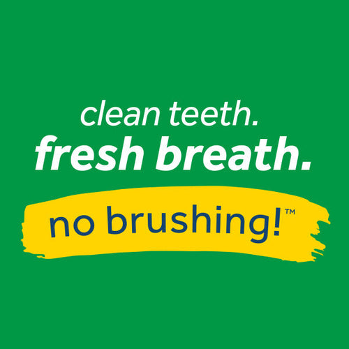 TropiClean Fresh Breath No Brushing Total Care Clean Teeth & Oral Care Gel Kit (4 oz)