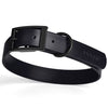 Dogline Biothane Waterproof Collar