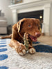Nylabone Power Chew Gator Tail Alternative Chew Toy for Dogs