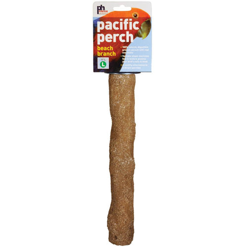 Prevue Pet Products Pacific Perch Beach Branch