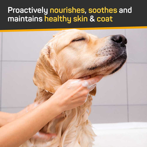 Silver Honey Skin & Coat Care Nourish & Soothe Shampoo with Odor Neutralizer