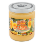 Pet Odor Exterminator Bubbly Mimosa Candles