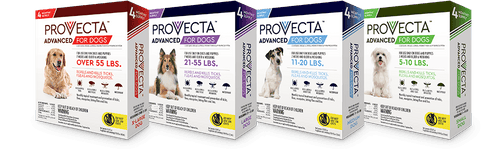 Provecta ADVANCED Flea & Tick Treatment for Dogs