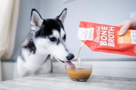 Stella & Chewy's Bountiful Bone Broth Grass Fed Beef Bone Broth Recipe