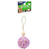 HANGING FESTIVE CHEW BALL (MULTI)