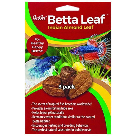 CARIBSEA BETTA LEAF INDIAN ALMOND LEAF (3 PACK)