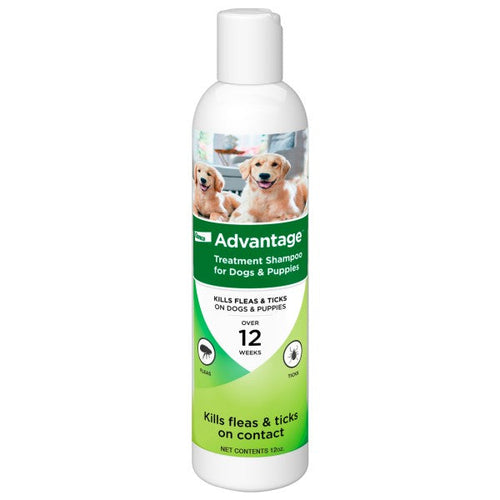 Advantage Dog Flea & Tick Shampoo for Puppies & Adult Dogs