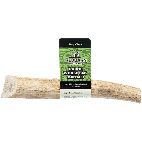 Redbarn Large Whole Elk Antler