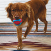 KONG Jaxx Brights Tug w/Ball Dog Toy