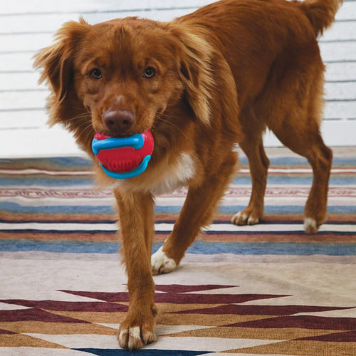 KONG Jaxx Brights Tug w/Ball Dog Toy