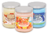 Pet Odor Exterminator Jar Candles