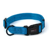Dogline Nylon Flat Collar (Cyan, L 13-20 W 3/4)