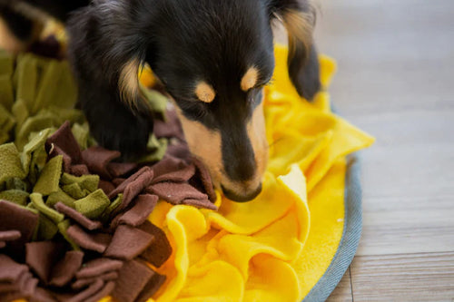 Injoya Sunflower Snuffle Mat