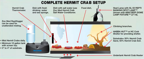 10 Gallon ReptiHabitat™ Hermit Crab Kit (10 Gallon)