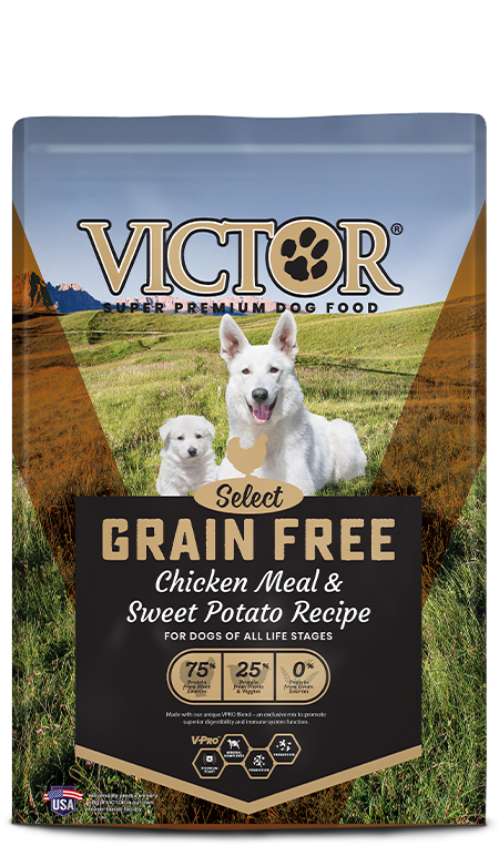 Victor Pet Grain Free Chicken Meal & Sweet Potato Recipe (30 lb)