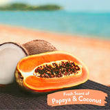 TropiClean Papaya & Coconut Luxury 2-in-1 Pet Wipes