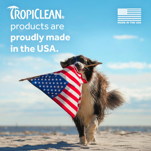 TropiClean Awapuhi & Coconut Whitening Shampoo for Pets (20 oz)