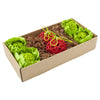 Oxbow Animal Health Enriched Life - Garden Dig Box