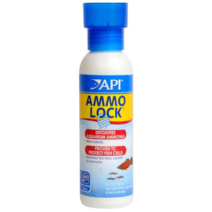 API AMMO LOCK